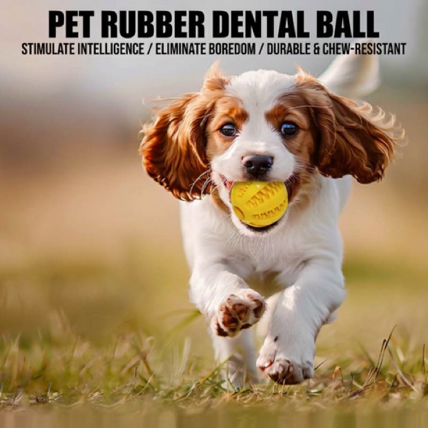 Durable Soft TPR Rubber Eco-Friendly Non-Toxic Luxury Dog Chew Toy Ball Slow-Feeder Fashion Style Solid 6.4CM  — Chew Toy wholesale from Zootail