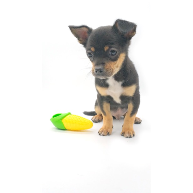 Ultra-Durable TPR Eco-friendly 11cm Corn-Shaped Dog Chew Toy Bite-Resistant & Wear-Resistant Chewing Stick Sou — Chew Toy wholesale from Zootail
