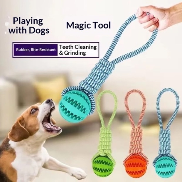 Luxury Dog Toy Food Dispensing Ball TPR Bite-Resistant Chew Stick Rope Interactive Tug-of-War Labrador Border  — Other Products wholesale from Zootail