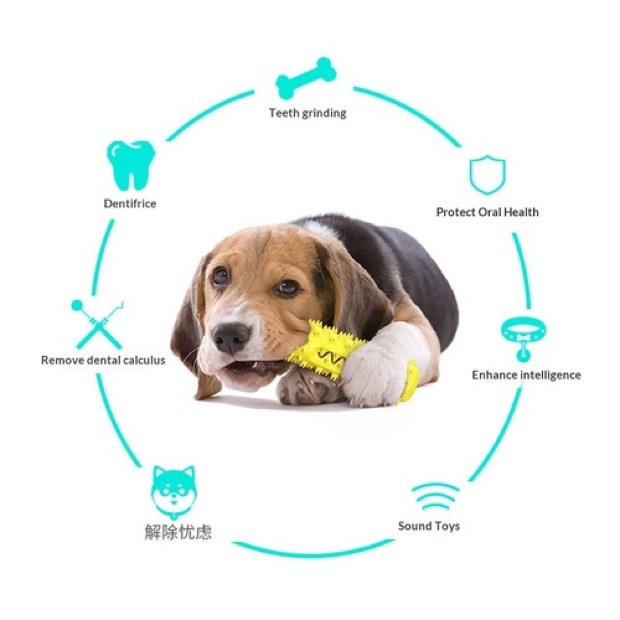 Best-selling TPR Sound-making Dog Toy Chew Stick Teeth-cleaning Serrated Toothbrush Treat-dispensing — Other Products wholesale from Zootail