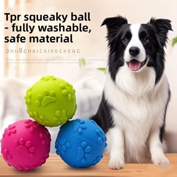 Dog Vocal Bite-resistant Sounding Molar Ball Toy with Paw Print Pattern for Decompression & Interactive Traini — Other Products wholesale from Zootail