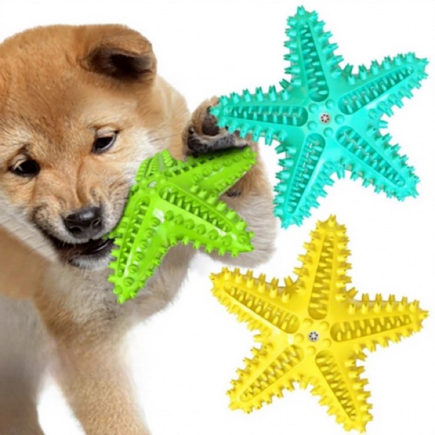 Dog Chew Toy Chewing Stick Sounding Starfish Teeth-Cleaning Bite-Resistant Squeaky Food-Dispensing Thermoplast — Chew Toy wholesale from Zootail