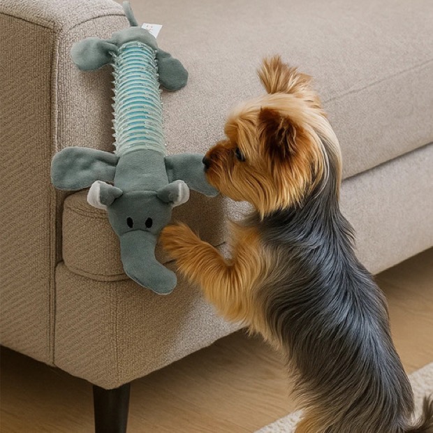 Xingrang XR-01 New Dog-Friendly Cartoon Pattern Thermoplastic Rubber Interactive Chew Toy Squeaker Durable Bit — Chew Toys wholesale from Zootail