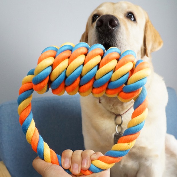 Large Dog Interactive Bite-Resistant Cotton Rope Teeth-Cleaning Chewing Stick Knot Toy for Golden Retriever/Sa — Chew Toys wholesale from Zootail