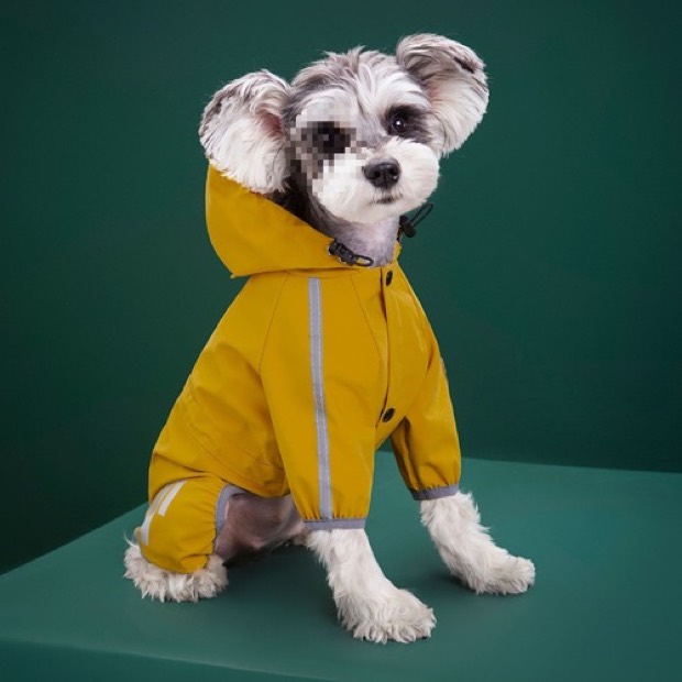 Dog & Cat Eco-Friendly Waterproof All-inclusive Casual Style Raincoat Poncho for All Seasons Polyester — Pet Gadgets wholesale from Zootail
