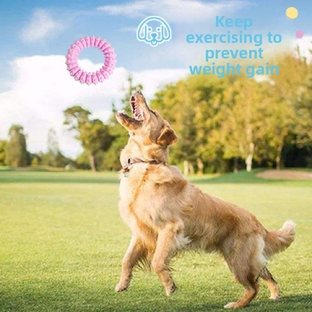 Cross-border New Pet Toy TPR Foam Spiked Large Ring 14 cm Bite-resistant Teething Dental Care Chew Ring for Do — Chew Toys wholesale from Zootail