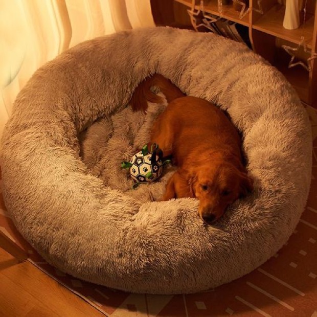 Long-pile PP Cotton Four-Season Universal Dog Bed Extra-Large Thickened Cushion Big Dogs Pets Oversized Design — Pet Gadgets wholesale from Zootail