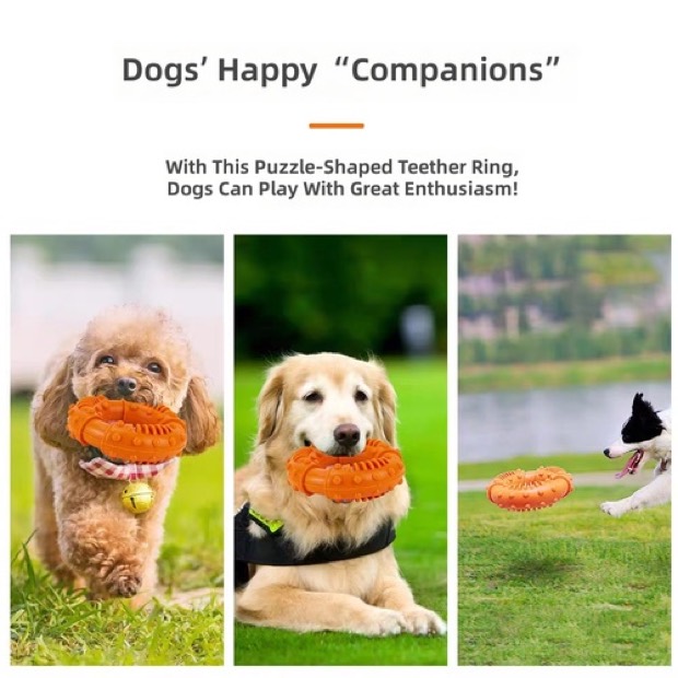Eco-Friendly Dog TPR Rubber Chew Ring Durable Dental Care Interactive Training Pet Toy — Chew Toys wholesale from Zootail