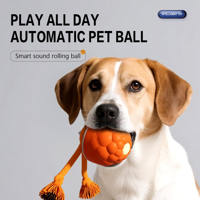 Eco-Friendly Electric Pinecone Ball Dog Toy for Energy Release and Outdoor Play — Chew Toys wholesale supplier Zootail